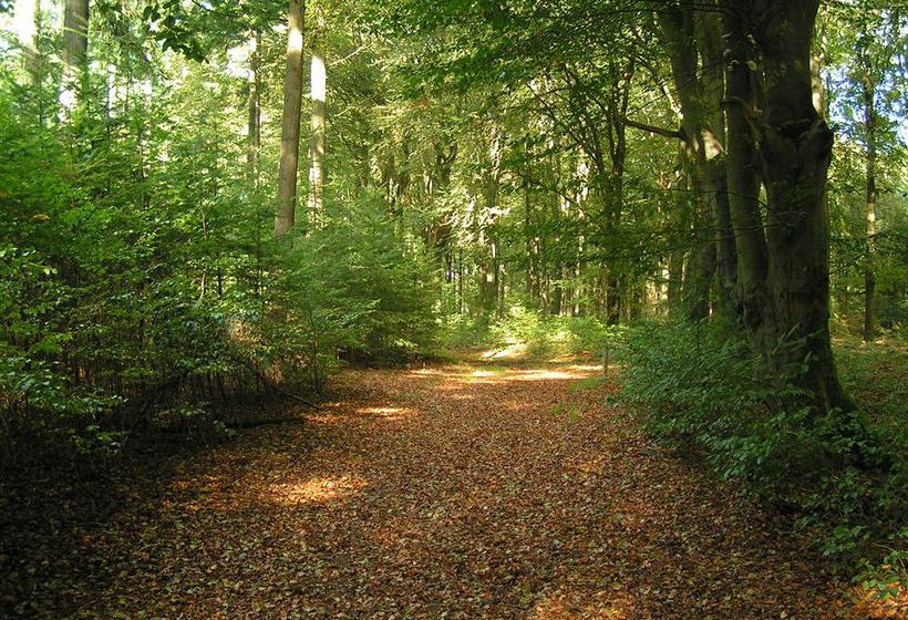 Hotel Hampshire Inn Mooi Veluwe