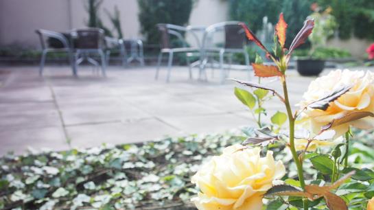 Telecom Guest House 9