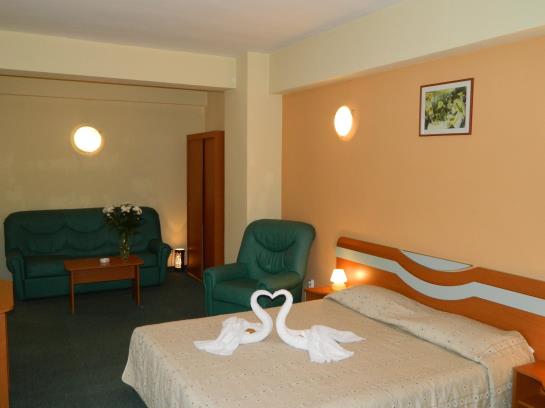 Hotel Elizeu 20