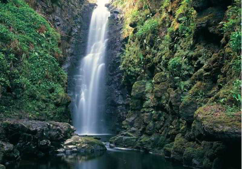 Hôtel Londonderry Arms 7