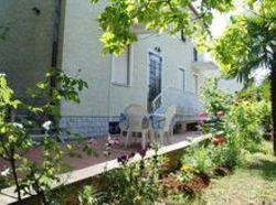 Curavic Apartamentos 5