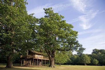 Hôtel De Vere Theobalds Park 9