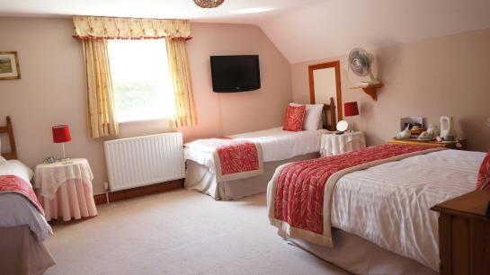 Hôtel The Lawn Guest House