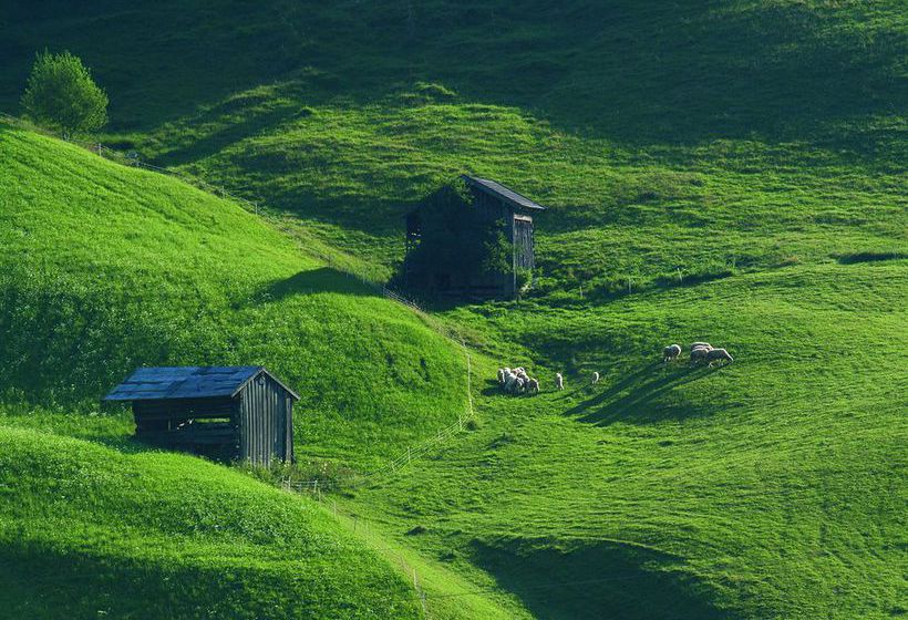 Cordial Familien & Vital Hotel Achenkirch 1