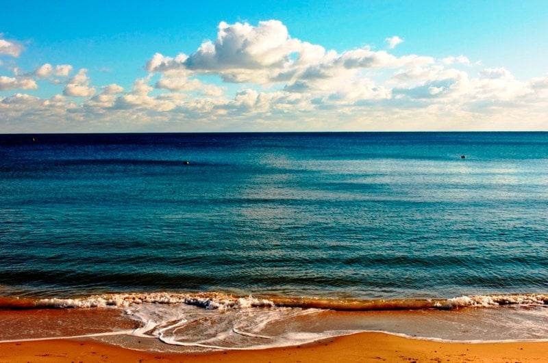 Hotel The Bartley Lodge 2