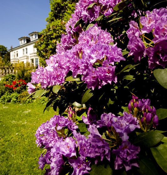 The Marcliffe Hotel & Spa