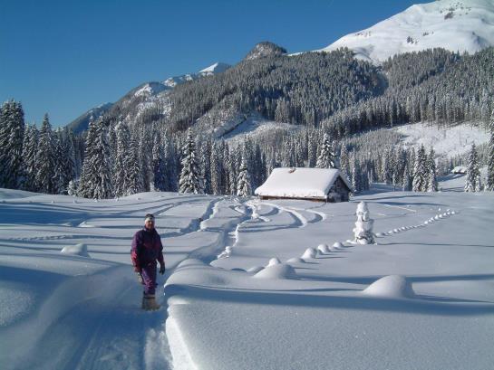 Hotel Strobler Hof 17