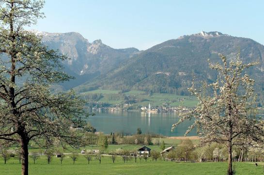 Hotel Strobler Hof 6