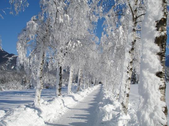 Hotel Strobler Hof 7