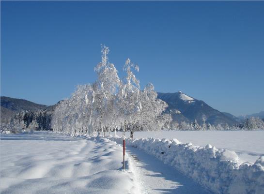 Hotel Strobler Hof 9