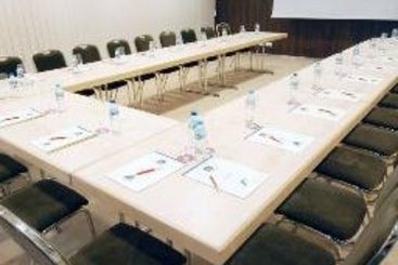 Best Western Premier Krakow Hotel 14