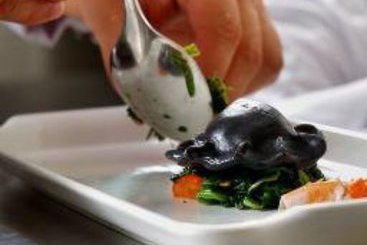 Best Western Premier Krakow Hotel 19