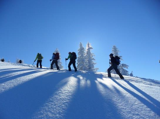 Hotel Wiedersbergerhorn