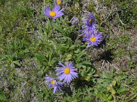 Nationalparkhotel Schihof