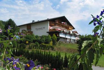 Hotel Matzelsdorfer Hof