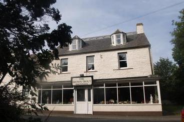 The Brown Trout Hotel