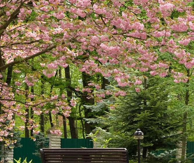 Hotel Lion's Castle - Zamok Leva