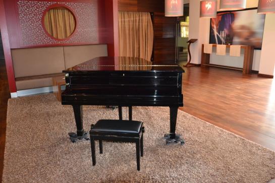 Falkensteiner Hotel Spa Leobe 2