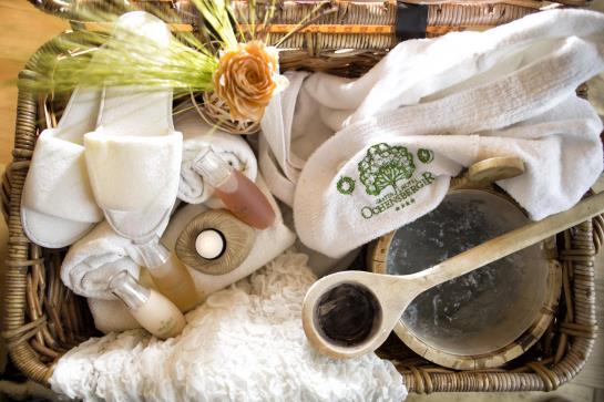 Gartenhotel Ochensberger 3