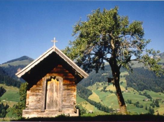 Apartment House Hartmann 2