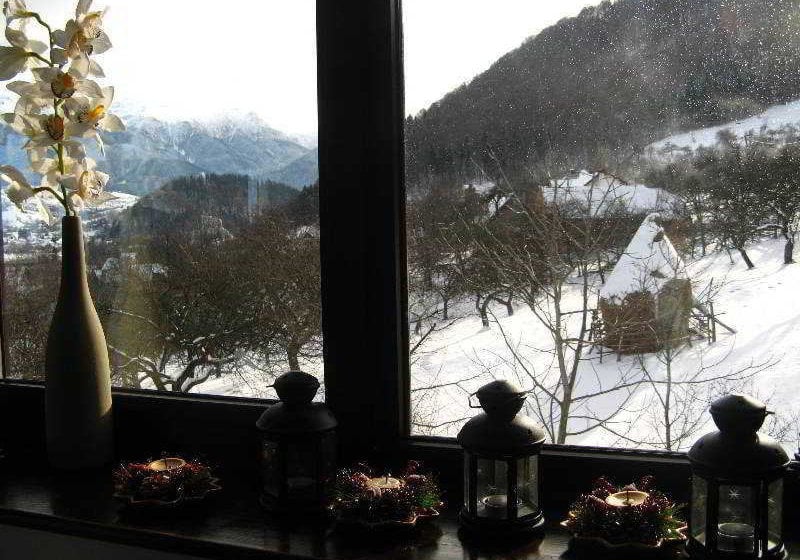 Hotel Vila Transylvanian Inn