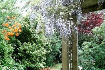 Bed & Breakfast Holly House 6