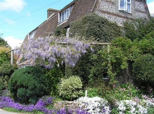 Bed and Breakfast Churchview Guest House 11