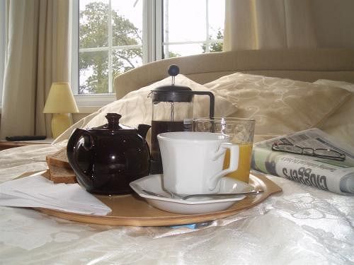 Bed & Breakfast The Elms Guest House 2