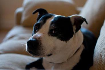 Church Farm Guest House 3