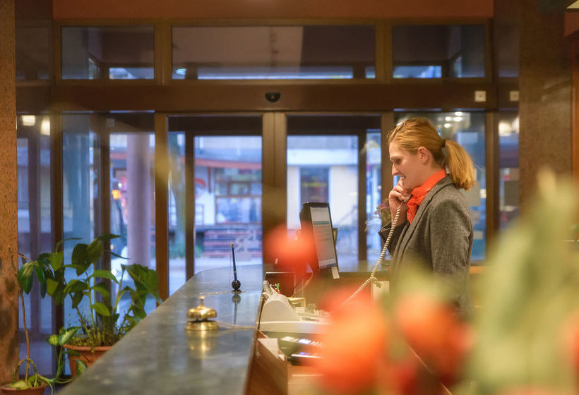 Hotel Rivulus Baia Mare