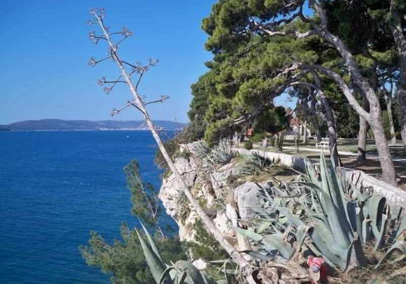 Apartments Silvana Firule