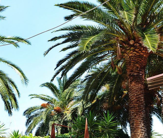 Hotel Domus Maritima