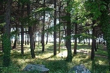 Apartments Zdjelar 16