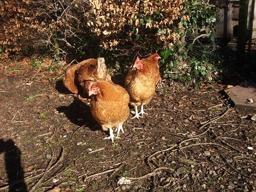 Hôtel An Caislean 8