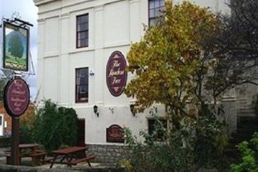 Hotel Linden Tree Inn