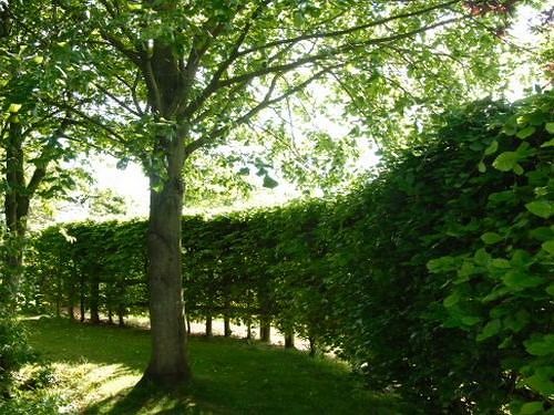 Highwaymans Bed & Breakfast 10