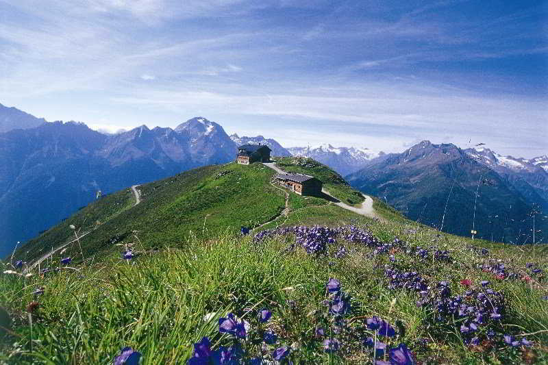 Hotel Anonyme Appartments Stubaital
