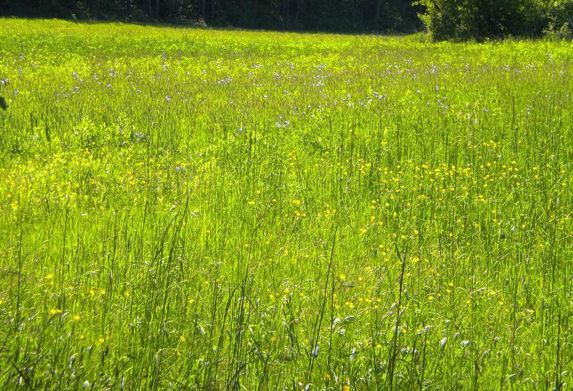 Hotel Gasthof Zur Traube