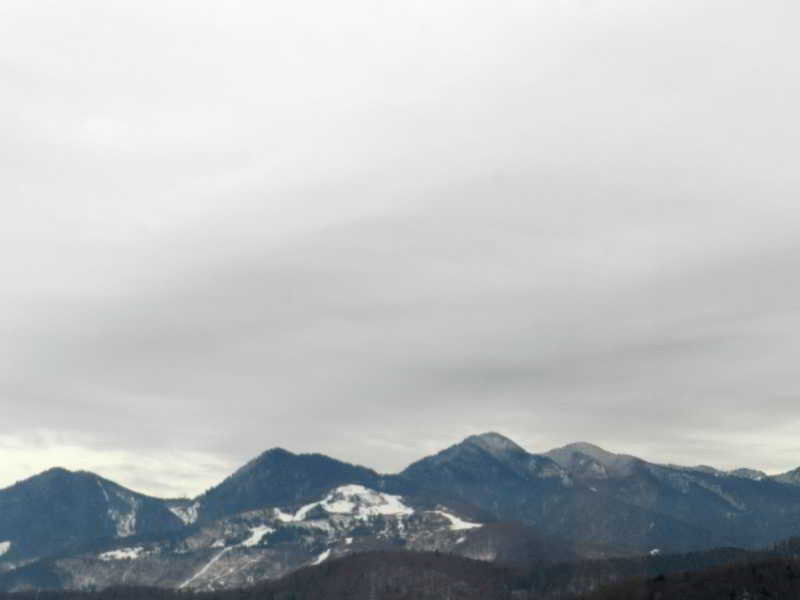 Hotel Apartament Andu 11