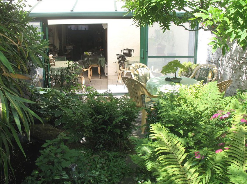 Bed and Breakfast Het Wit Beertje Bed - Breakfast