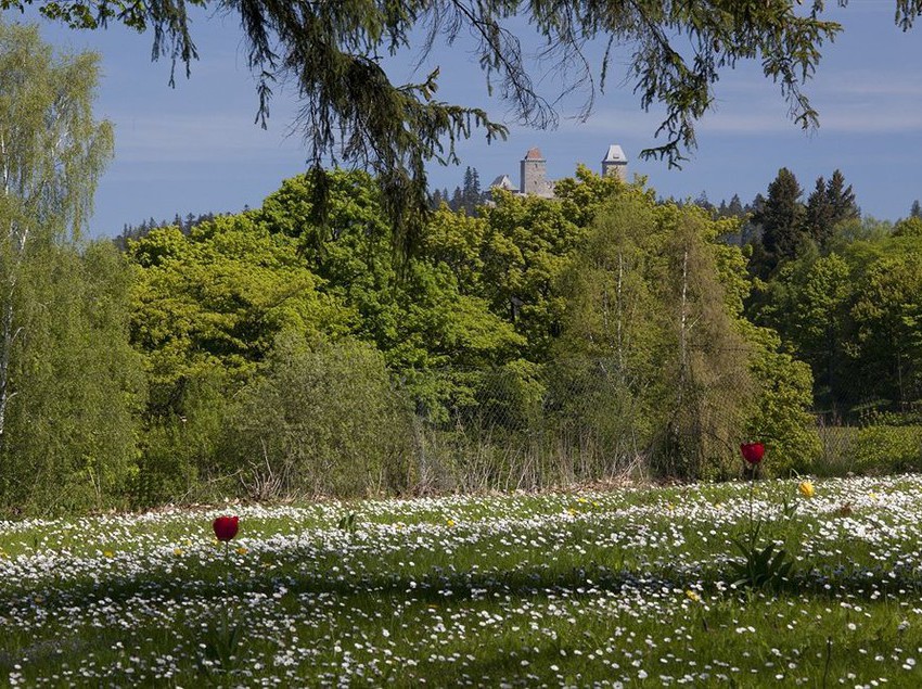 Parkhotel Kasperske Hory