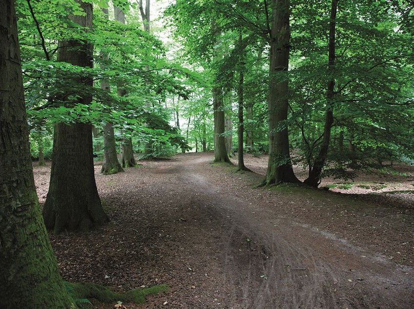 Fletcher Hotel-restaurant Dinkeloord