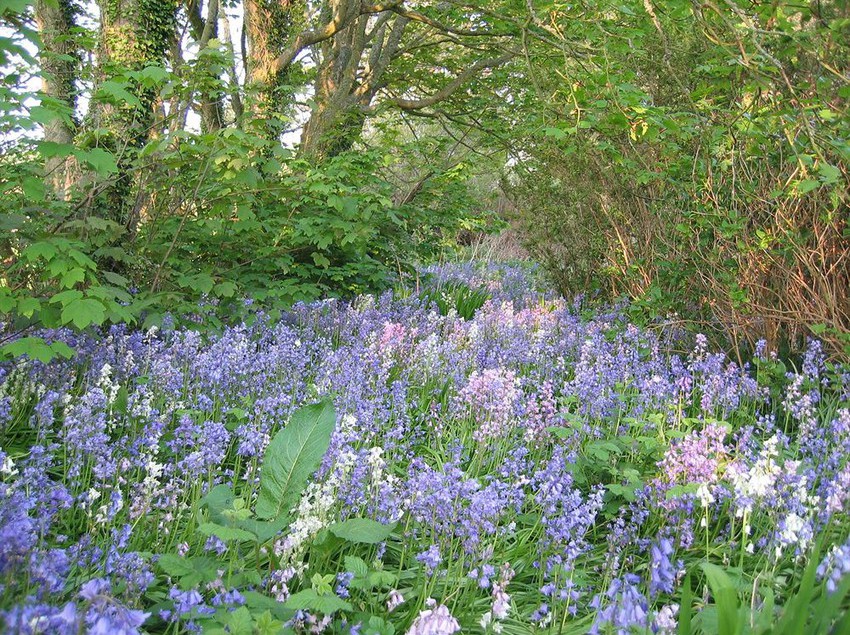 Hotel Gadlys Country House