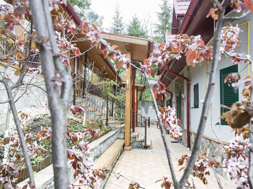 9 Suites Residence 7