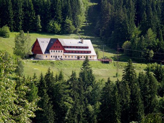 Hotel Alpina