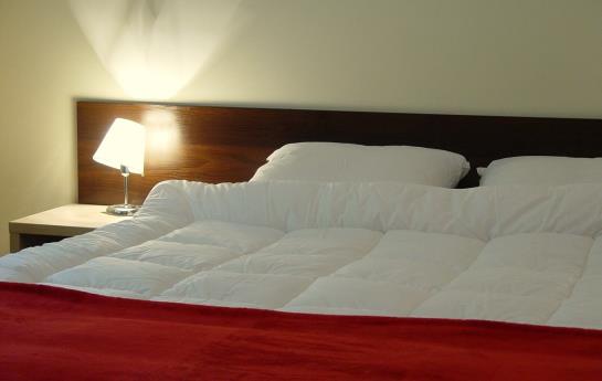 Hotel Jagiellonka Willa