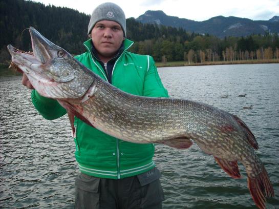 Landhotel Gut Puttererseehof 1