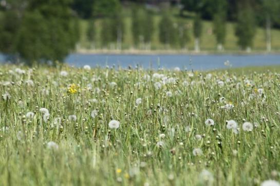 Bauernhof Glitschnerhof 4