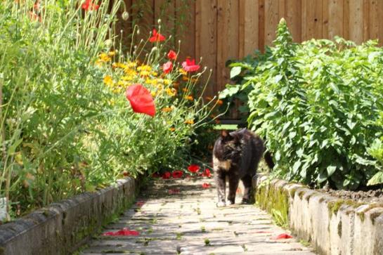 Bauernhof Glitschnerhof 6