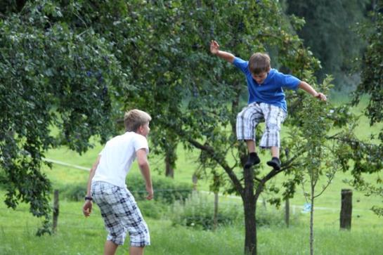 Bauernhof Glitschnerhof 8